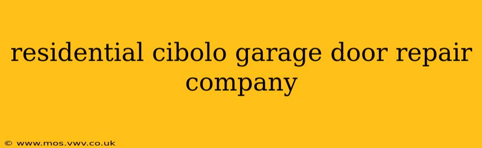 residential cibolo garage door repair company