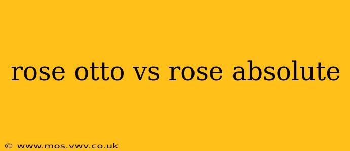 rose otto vs rose absolute