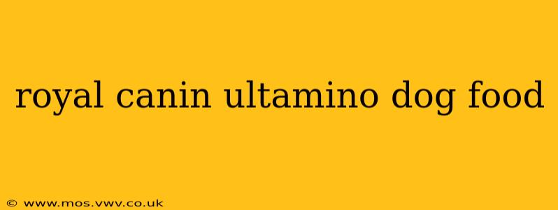 royal canin ultamino dog food