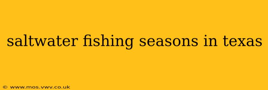 saltwater fishing seasons in texas