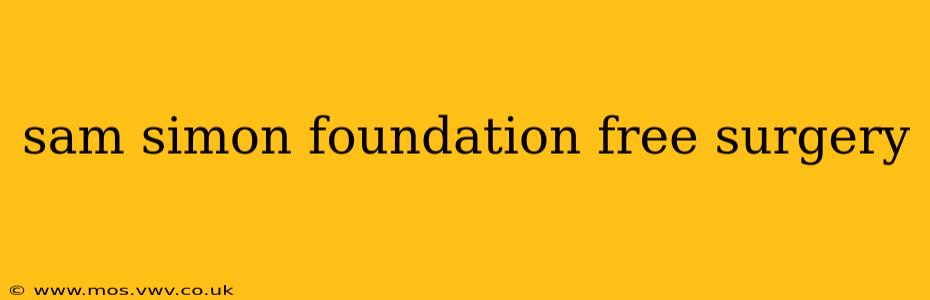 sam simon foundation free surgery