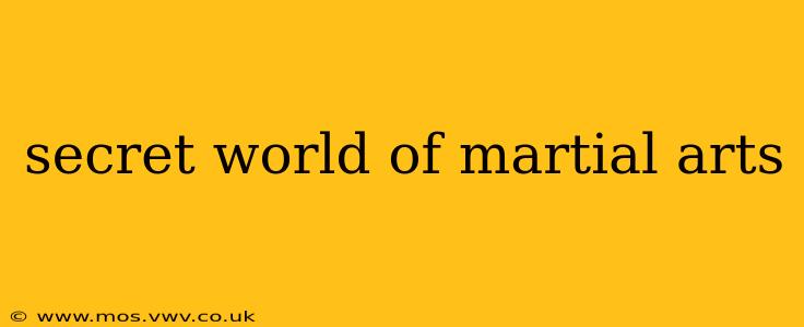 secret world of martial arts
