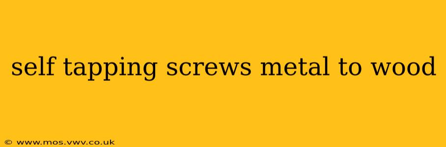 self tapping screws metal to wood