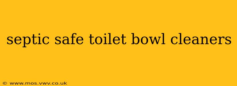septic safe toilet bowl cleaners