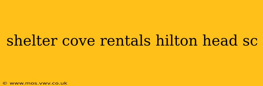 shelter cove rentals hilton head sc