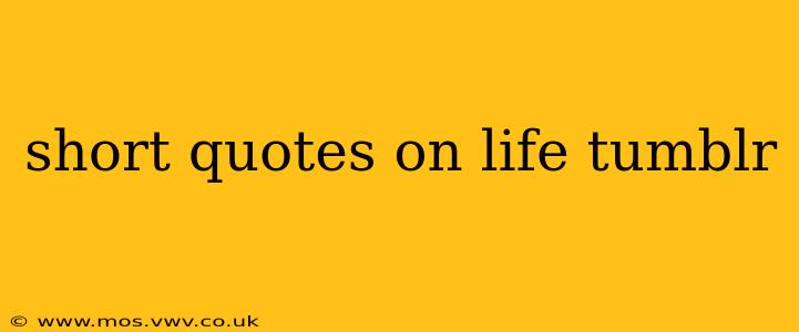 short quotes on life tumblr