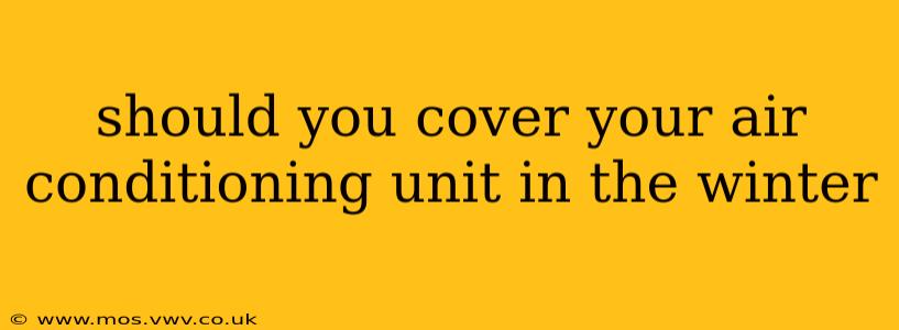 should you cover your air conditioning unit in the winter