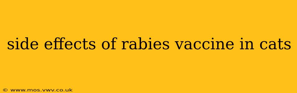 side effects of rabies vaccine in cats