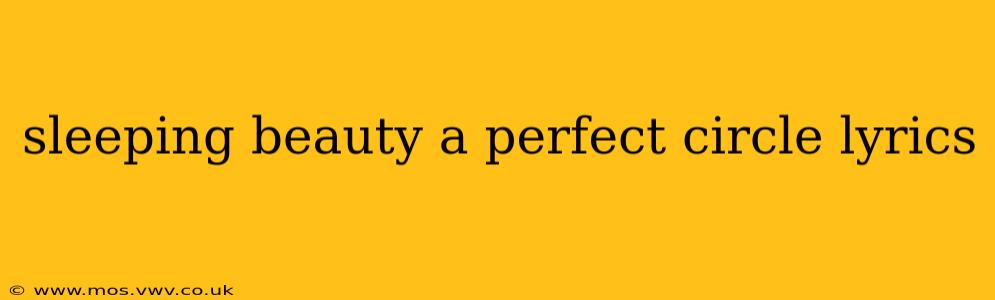 sleeping beauty a perfect circle lyrics