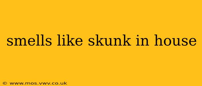 smells like skunk in house