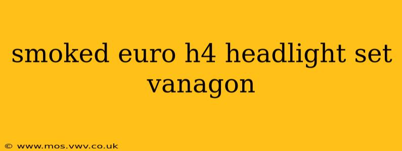 smoked euro h4 headlight set vanagon