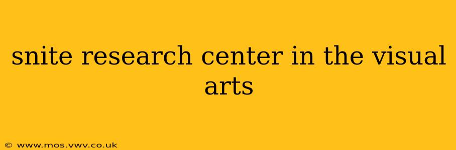 snite research center in the visual arts
