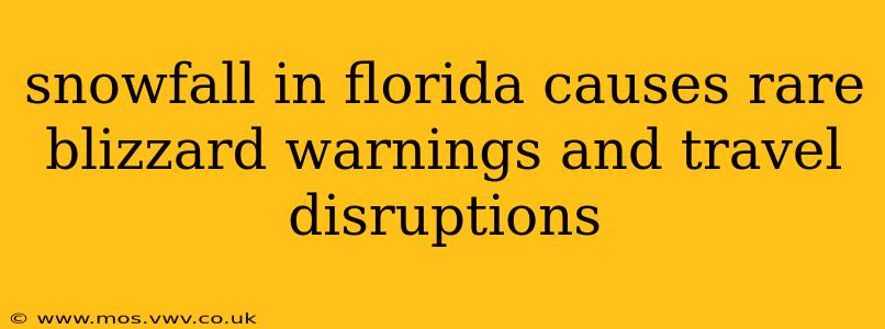 snowfall in florida causes rare blizzard warnings and travel disruptions