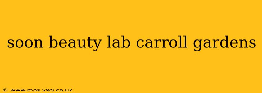 soon beauty lab carroll gardens