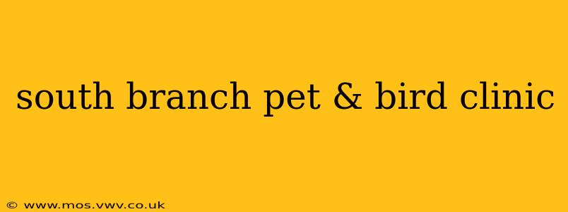 south branch pet & bird clinic
