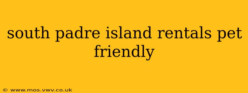 south padre island rentals pet friendly