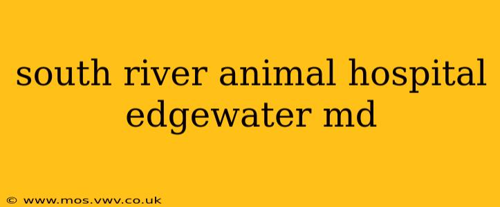 south river animal hospital edgewater md