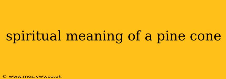 spiritual meaning of a pine cone