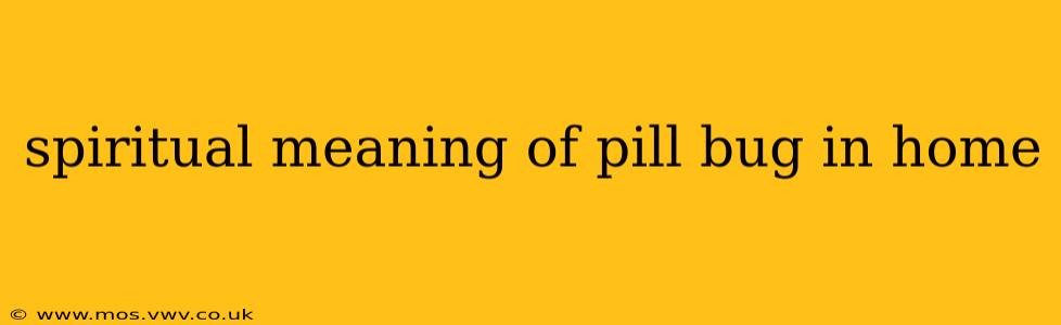 spiritual meaning of pill bug in home