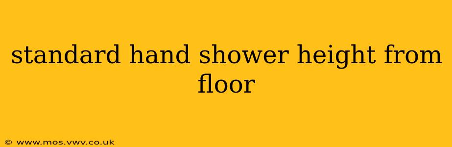 standard hand shower height from floor