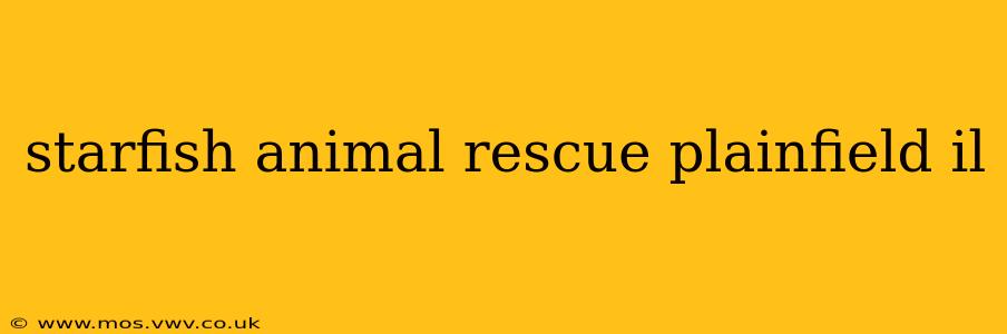 starfish animal rescue plainfield il