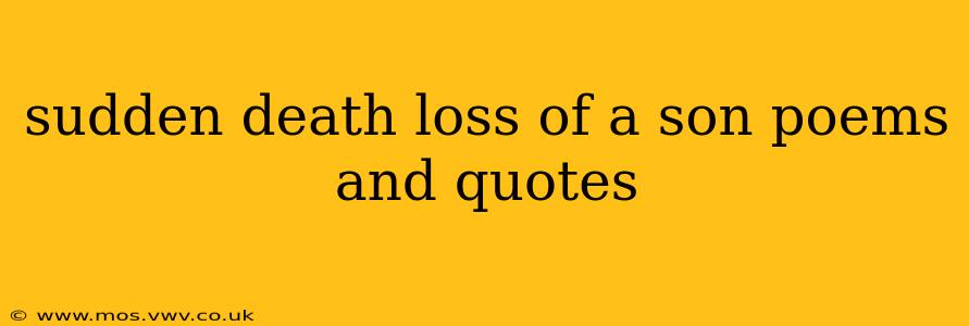 sudden death loss of a son poems and quotes