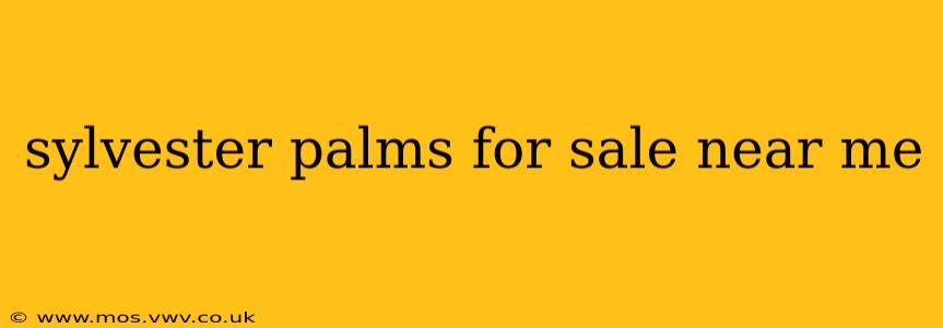 sylvester palms for sale near me