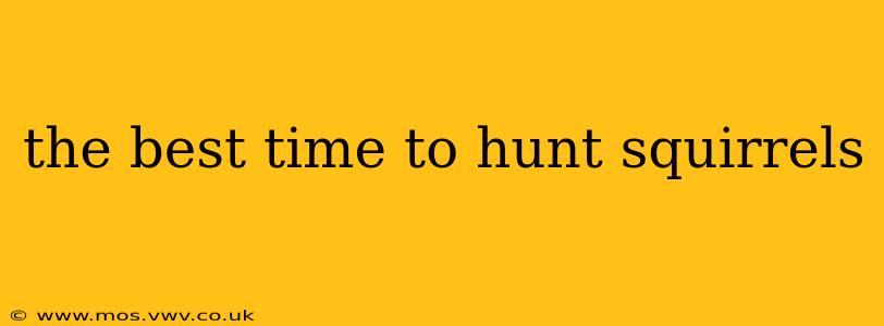 the best time to hunt squirrels