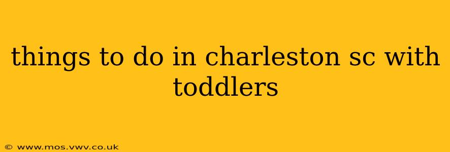things to do in charleston sc with toddlers