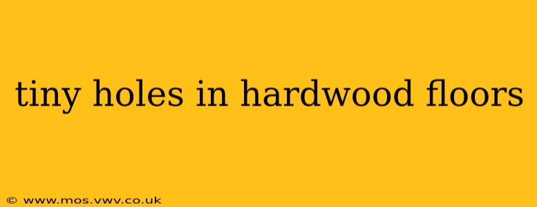tiny holes in hardwood floors