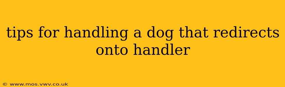 tips for handling a dog that redirects onto handler