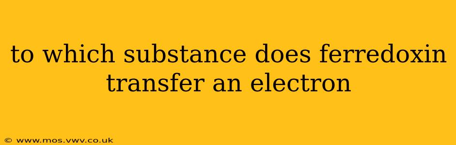 to which substance does ferredoxin transfer an electron