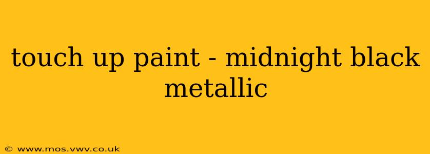 touch up paint - midnight black metallic