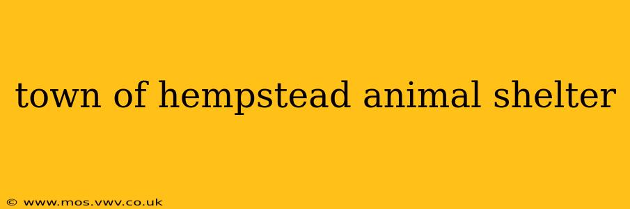 town of hempstead animal shelter