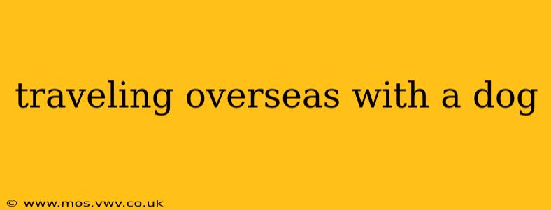 traveling overseas with a dog