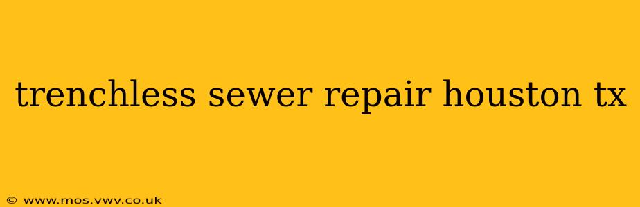 trenchless sewer repair houston tx