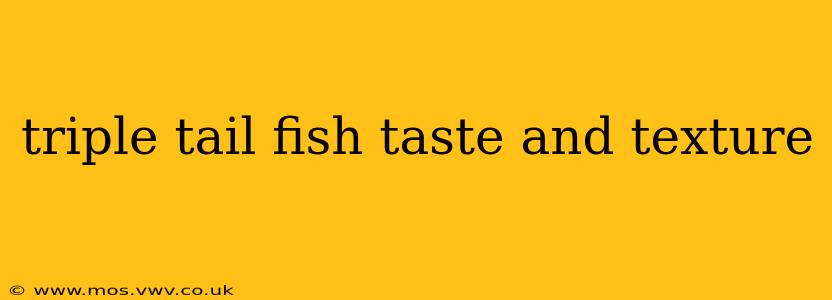 triple tail fish taste and texture