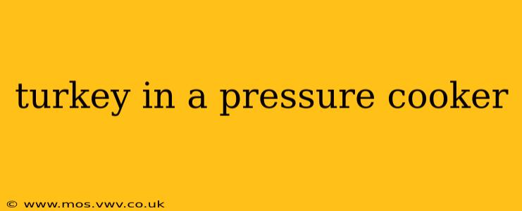 turkey in a pressure cooker