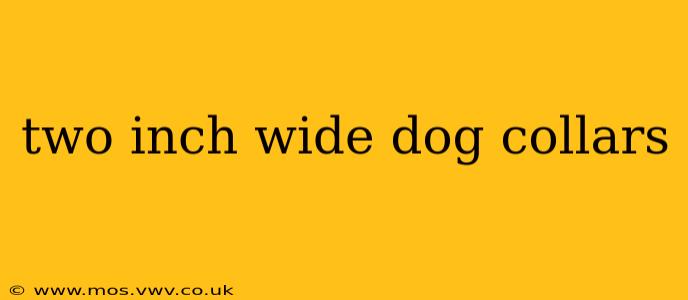two inch wide dog collars