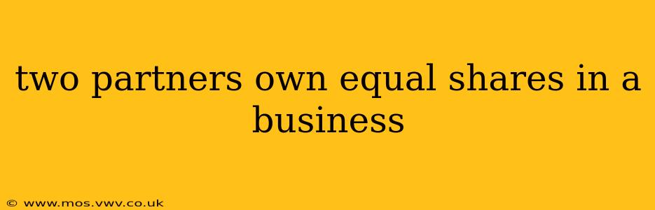 two partners own equal shares in a business