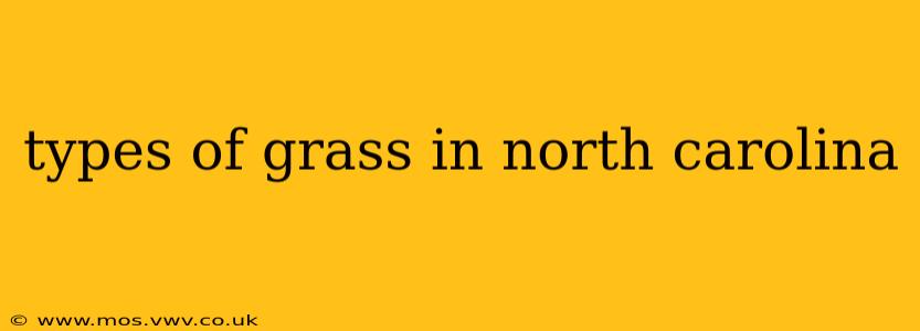 types of grass in north carolina