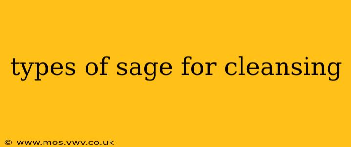 types of sage for cleansing