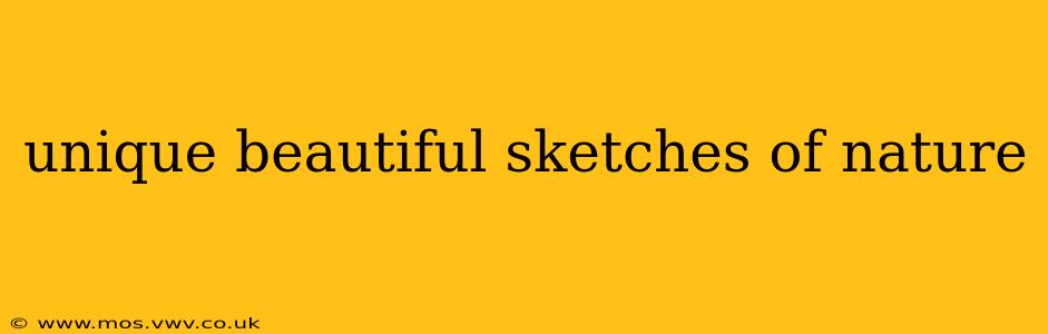 unique beautiful sketches of nature