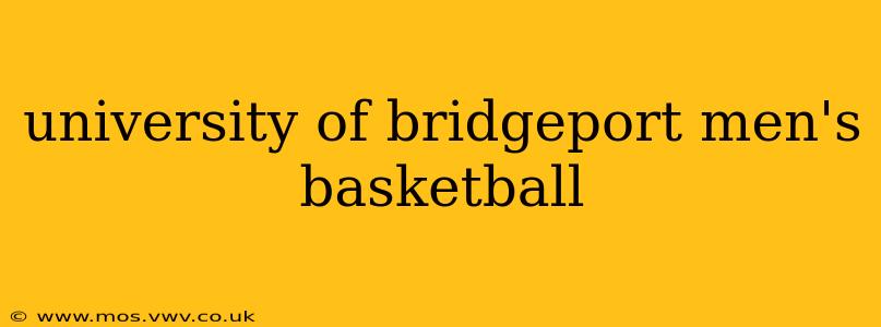 university of bridgeport men's basketball