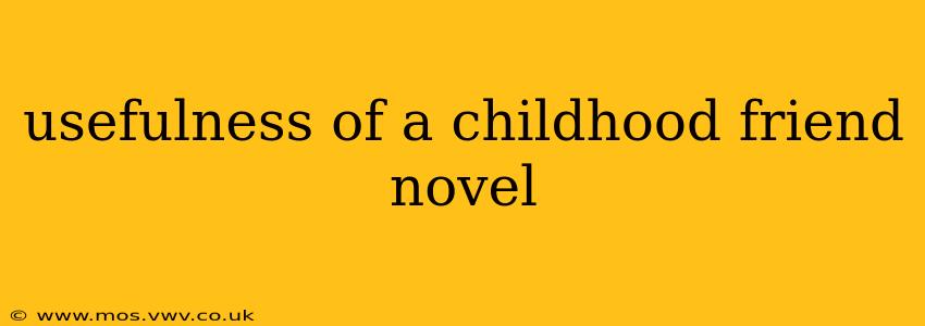 usefulness of a childhood friend novel
