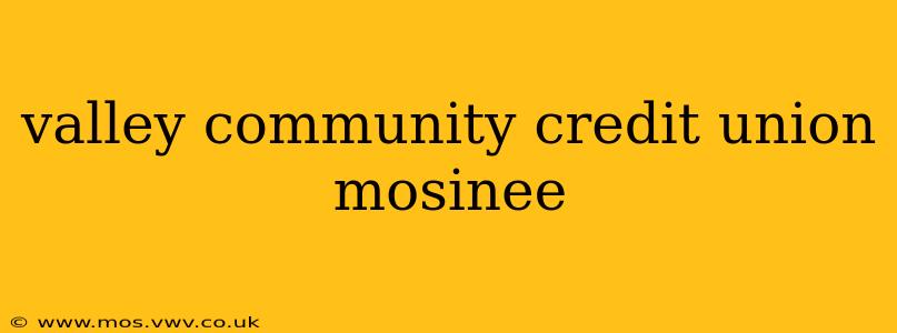 valley community credit union mosinee