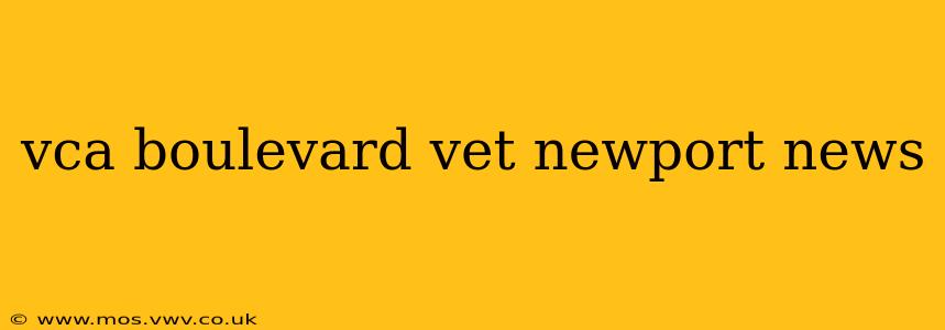 vca boulevard vet newport news