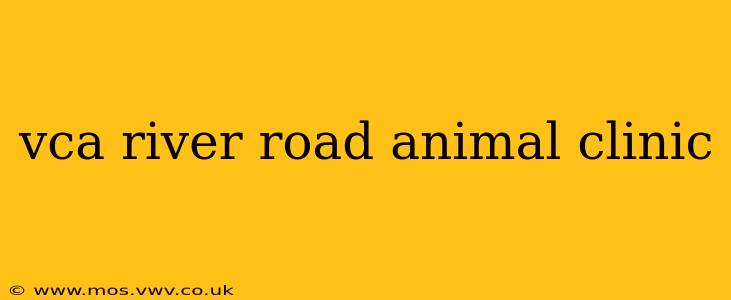 vca river road animal clinic