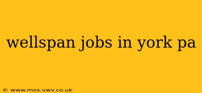 wellspan jobs in york pa