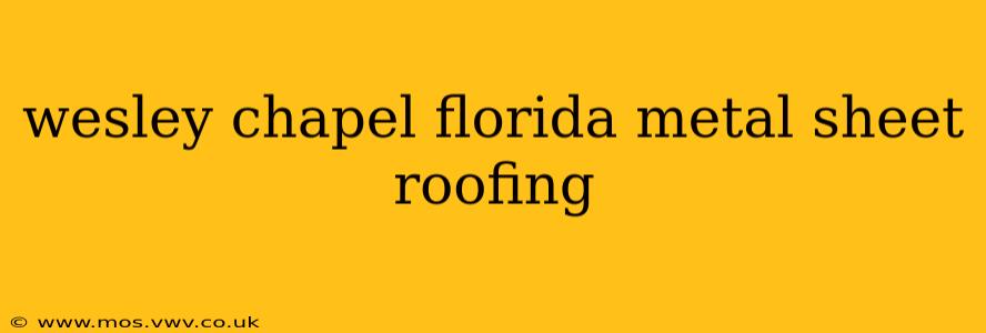 wesley chapel florida metal sheet roofing